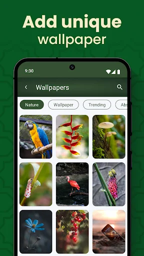 Wallpaper gallery feature displaying nature-themed background images with category filters for keyboard personalization