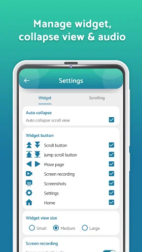 Settings page managing auto-scroll widgets, button options, collapse view, and screen recording audio