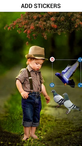Sticker editor showing young boy with colorful bird and pigeon animal stickers applied, green nature background, sticker positioning controls visible