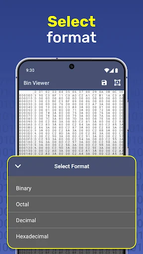 Select format dropdown menu in Bin Viewer showing Binary, Octal, Decimal, and Hexadecimal encoding format options