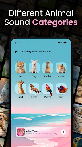 Animal sound categories in Animal Ringtone app showing different animals including cats, dogs, rabbits, birds, and fish
