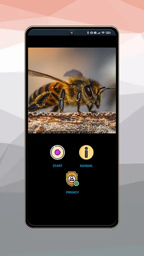 Endoscope app interface showing macro photography with Start, Manual, and Privacy options