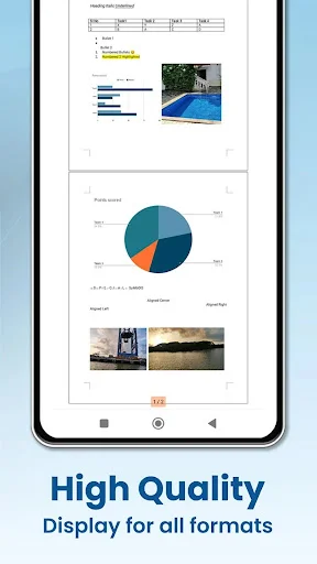 High quality Docx, PDF, Excel document display with tables, charts and images