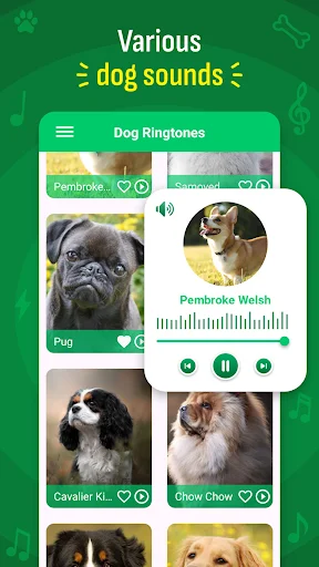 Dog Ringtones grid with popup showing Pembroke Welsh Corgi sound details, waveform, and playback control buttons