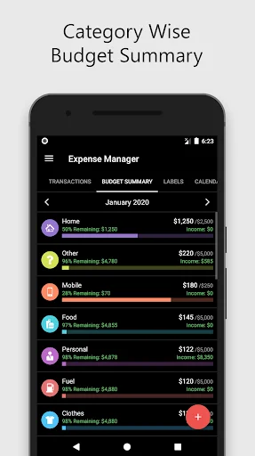 Category wise budget summary for January 2020 showing spending by category with budget progress, icons, and remaining balance for each expense type