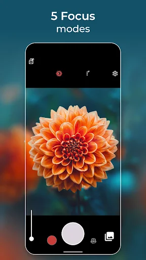 5 Focus modes feature demonstrated with macro photography of vibrant orange dahlia flower in sharp detail