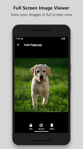 Full-screen image viewer displaying stored photo with file name and Hide, Rename, Delete action buttons