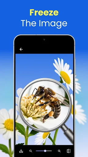 Lupa freeze image feature displaying magnified bee on flower with frozen view and interactive loupe controls