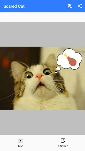 Scared cat meme template with surprised expression and white thought bubble for text customization