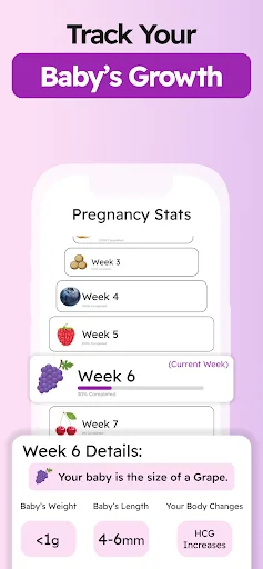 Baby growth tracker showing weekly pregnancy development with week 6 details including size, weight, and hormone changes