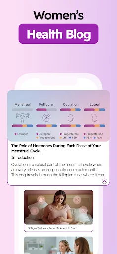 Women's Health Blog featuring menstrual cycle phase articles about hormones, ovulation, and fertility information