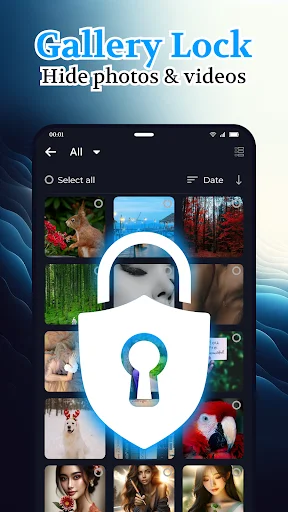 Gallery Lock secure photo vault with white padlock shield icon on grid of hidden photos and videos