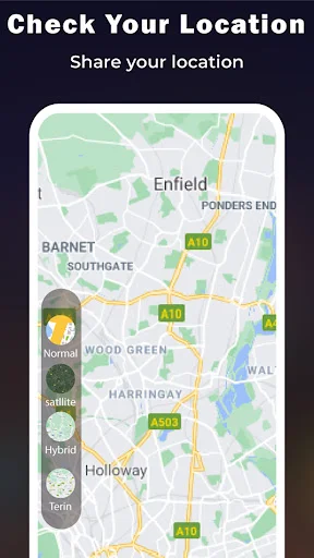Location map view with toggle options for Normal, Satellite, Hybrid and Terrain mapping display modes