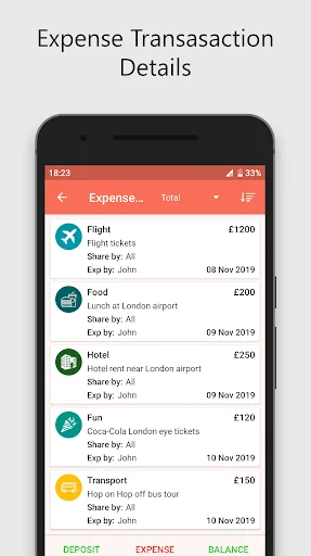 Expense transaction details listing flights, meals, accommodations and activities with dates and amounts