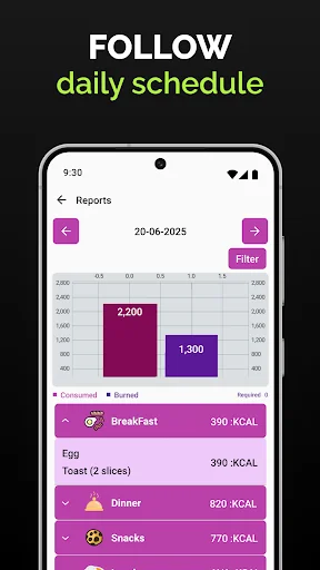 Daily meal schedule and calorie tracker displaying nutrition chart, breakfast, dinner, snacks and consumed calories