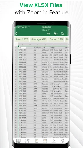 XLSX file viewer app displaying spreadsheet data with zoom controls and multiple columns of information